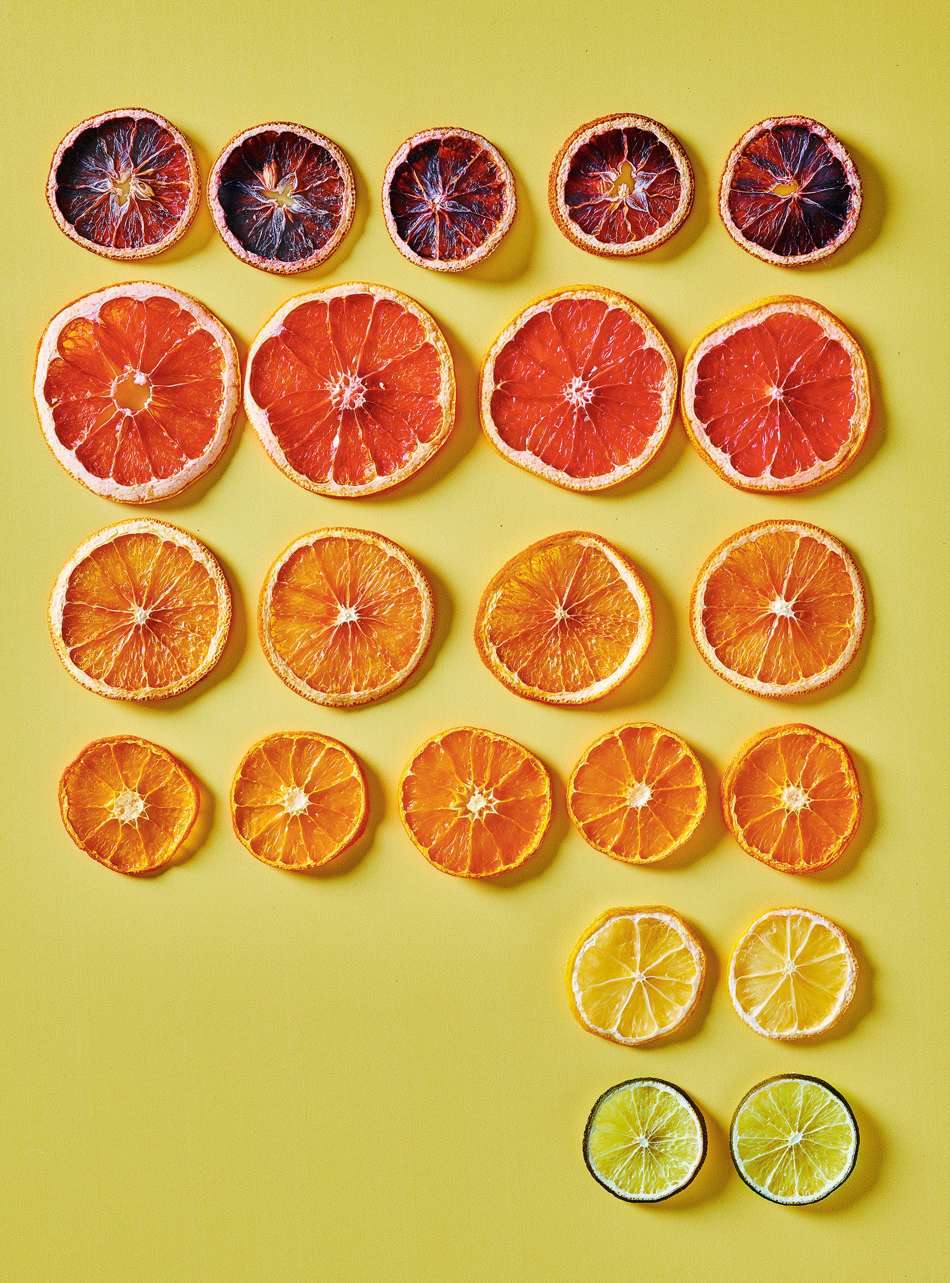 Dried Citrus Slices