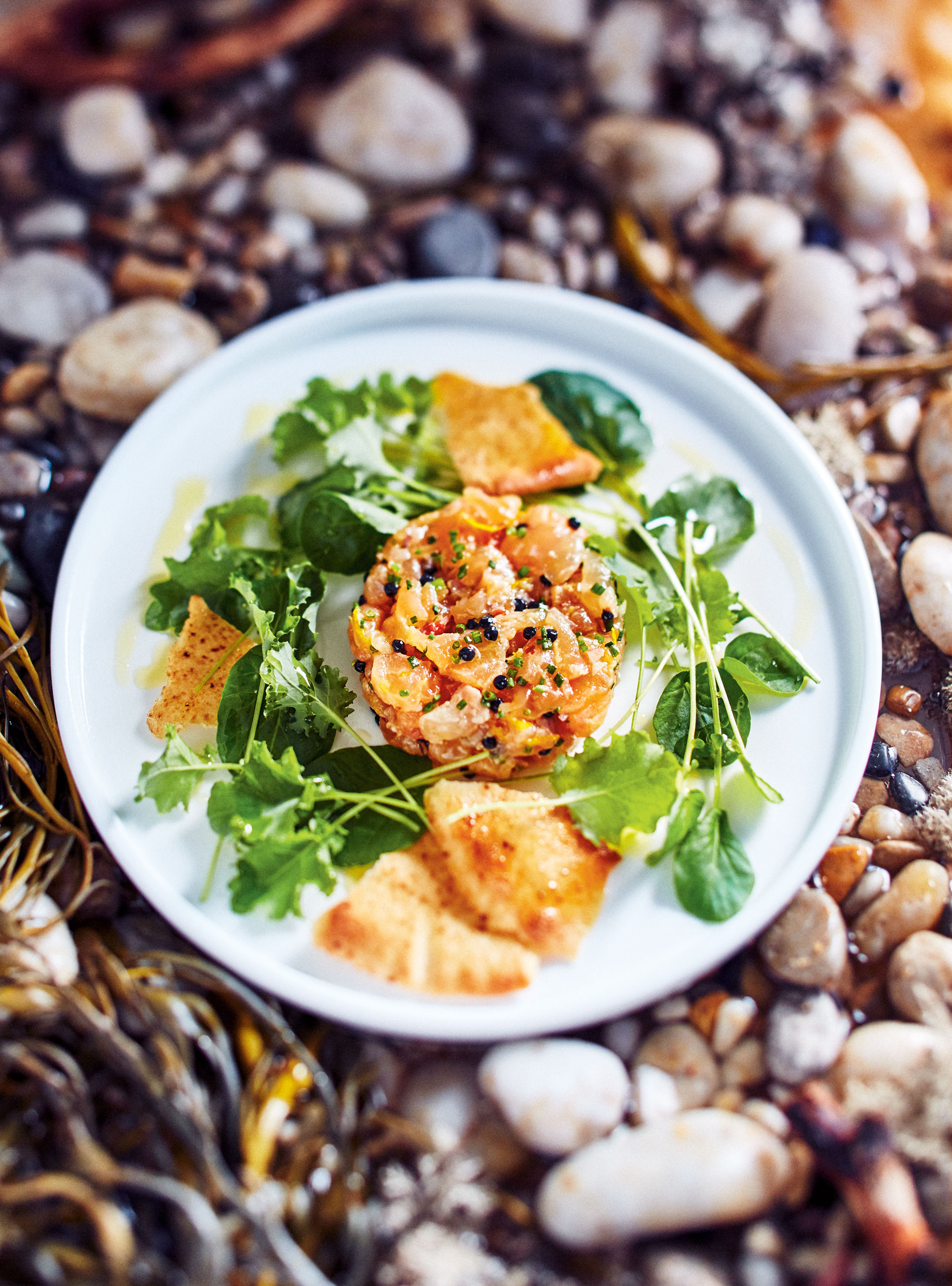 Arctic Char Tartare with Citrus